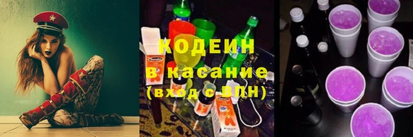 гашик Верея